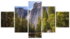 Obraz - Pod Yosemite Rock (125x70 cm)