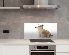 Panel szklany do Kuchni Mały Szczeniak w Pozycji Siedzącej