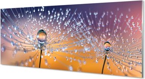 Panel nad Blat Kuchenny Kryształowe Parasolki Dmuchawca