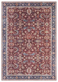Bordowy dywan Nouristan Vivana, 200x290 cm