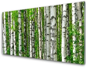 Obraz Szklany Las Roślina Natura Drzewa