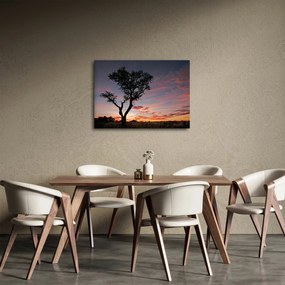 Obraz - Drzewo i czerwonawe odcienie (70x50 cm)