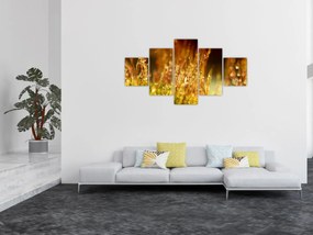 Obraz - Szczegół rosy (125x70 cm)