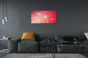 Obraz drukowany na płótnie Miłość na Czerwonym Tle