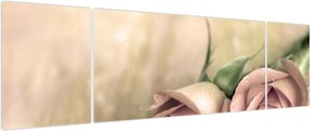 Obraz - Delikatne róże (170x50 cm)