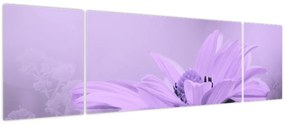 Obraz - Fioletowy kwiat (170x50 cm)