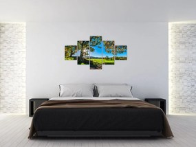 Obraz - widok pola (125x70 cm)