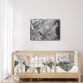 Obraz na szkle - Las świerkowy (70x50 cm)