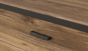 Dwudrzwiowa szafka RTV w stylu industrialnym Hayato 231