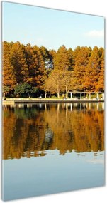 Foto obraz szkło hartowane pionowy Park jesienią