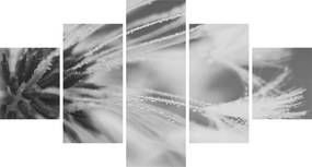 Obraz - Mlecz (125x70 cm)