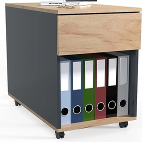 Pojemnik rolkowy Dalosa 1 szuflada