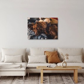 Obraz na szkle - leżące psy (70x50 cm)