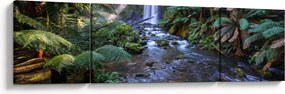 Obraz australijskiego lasu deszczowego (170x50 cm)