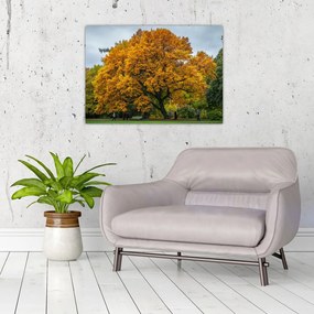 Obraz na szkle - drzewo (70x50 cm)