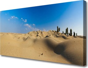 Zdjęcie na płótnie Wydmy Pustynne o Zachodzie