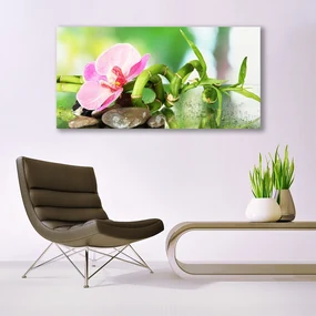 Obraz Canvas Bambus Łodyga Roślina Natura