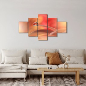 Obraz kwiecistej kropli rosy (125x70 cm)