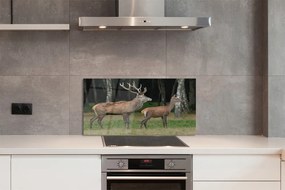 Panel Szklany Jeleń las