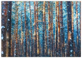 Obraz na szkle - Zimowy las (70x50 cm)