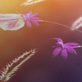 Obraz - Różowy motyl (170x50 cm)