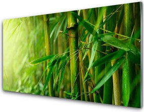 Panel Kuchenny Świeże Pędy Zielonego Bambusa