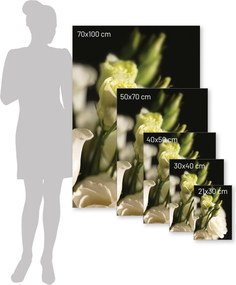 Plakat Dark Flowers I