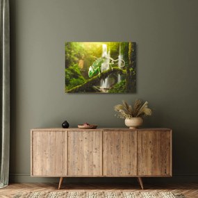 Obraz na szkle - kameleon (70x50 cm)