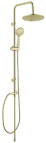 Zestaw prysznicowy ze stali nierdzewnej w kolorze matowego złota 101 cm Young Line – Wenko