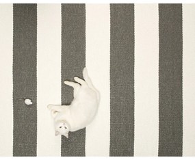 Antracytowo-kremowy chodnik odpowiedni na zewnątrz 70x225 cm Bob Charcoal Linen – Pappelina
