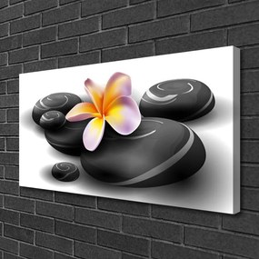 Obraz na płótnie Kwiaty i Kamienie Zen