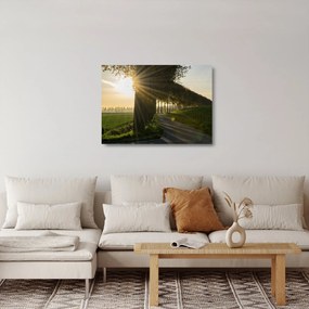 Obraz na szkle - aleja (70x50 cm)