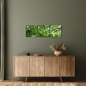 Obraz - Widok do korony drzewa (z zegarem) (90x30 cm)