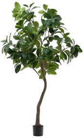 Sztuczny fikus (wysokość 210 cm) Ficus – Kave Home