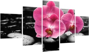 Obraz - Różowe orchidee (125x70 cm)