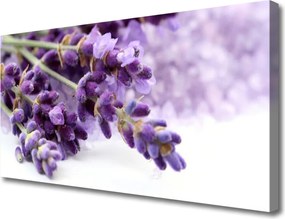 Obraz drukowany na płótnie Stylowy Bukiet Roślinny