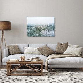 Obraz na szkle - Ośnieżone szczyty lasów (70x50 cm)