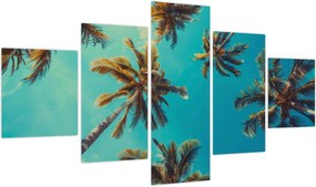 Obraz - Wysokie palmy (125x70 cm)
