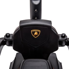 AIYAPLAY Lamborghini pojazd dla dzieci 2 w 1, pchacz z rączką i barierką bezpieczeństwa, kierownica i klakson, Zielony | Aosom PL