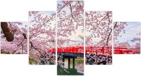 Obraz - Hirosaki, Japonia (125x70 cm)