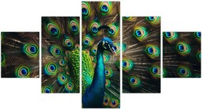 Obraz – Paw (125x70 cm)