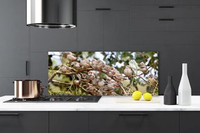 Panel Kuchenny Ptaki W Locie Nad Lasem