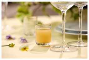 Kieliszki do wódki zestaw 4 szt. 60 ml Palermo – Lyngby Glas