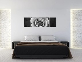 Obraz róży (170x50 cm)