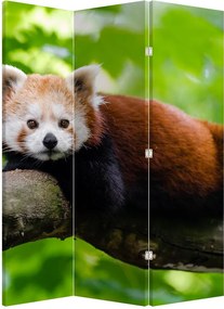 Parawan - Panda czerwona (126x170 cm)