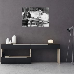Obraz - Cyrk 2 (70x50 cm)