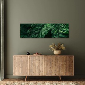 Obraz - Szczegół arkusza (170x50 cm)