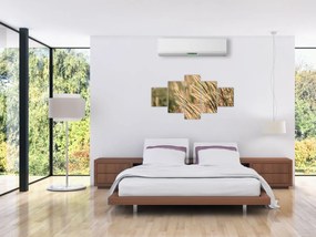 Obraz - Ziarno (125x70 cm)