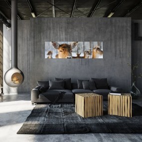 Obraz - Jelonki (170x50 cm)