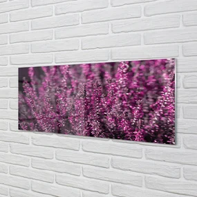 Szklany Panel Pole wrzosy